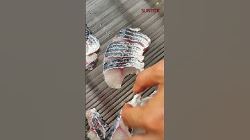 Fish Slicing Machine for Snakehead