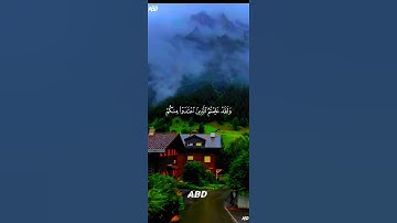 سورة البقرة القارئ #ياسر_الدوسري ‎@islam_sobhi@Sonic_islami#فلسطين#السعودية#المغرب#مصر#الجزائر#تونس