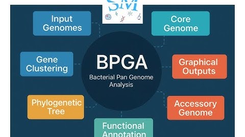 Lecture 20 | Pan-Genome Analysis Using BPGA | Comparative Genomics  Beginners | @SciChatMindset