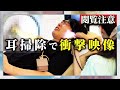 【閲覧注意】数年放置した耳より、日頃掃除している耳から想像以上の大物が...！【cacao】