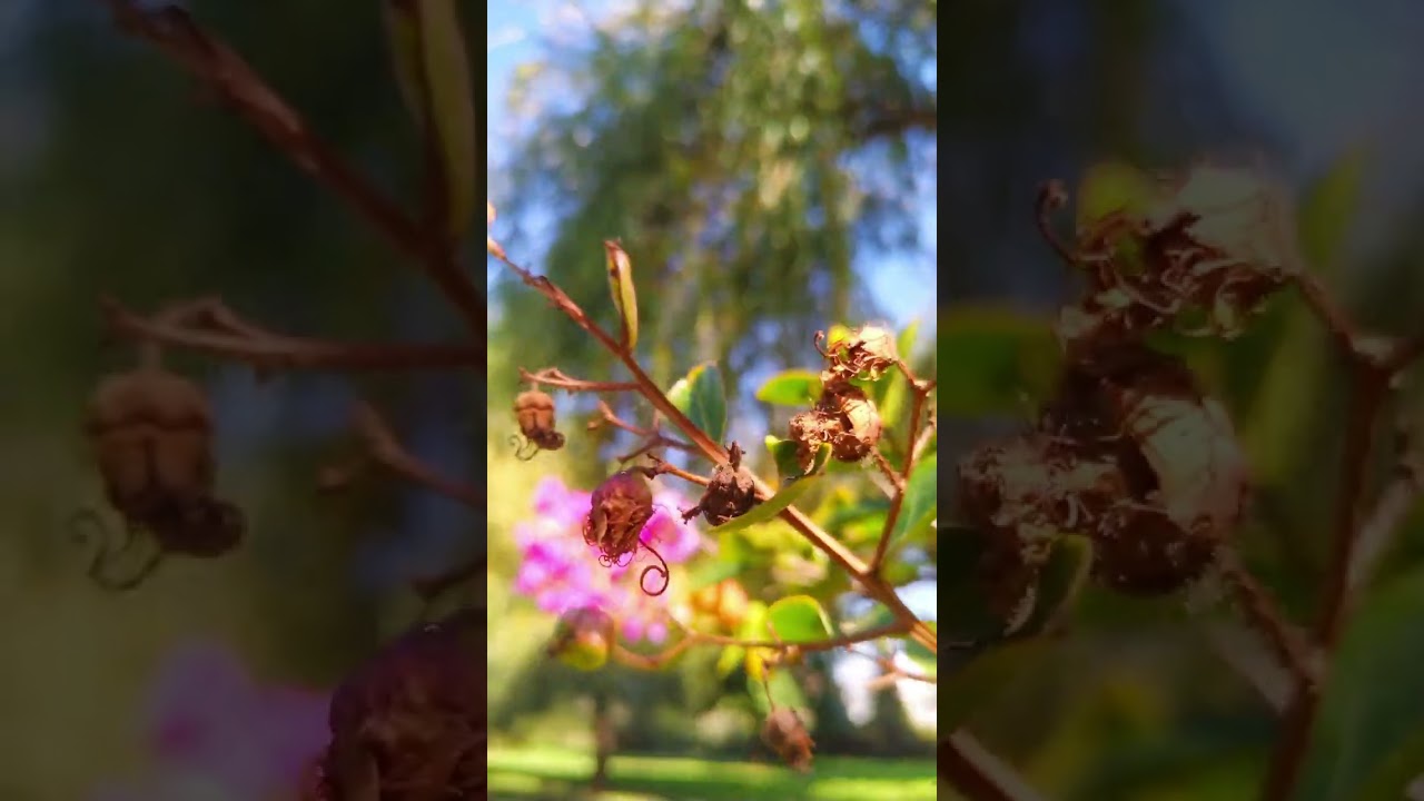 ESTARREJA, ESTE LUGAR É INCRÍVEL EM PORTUGAL.