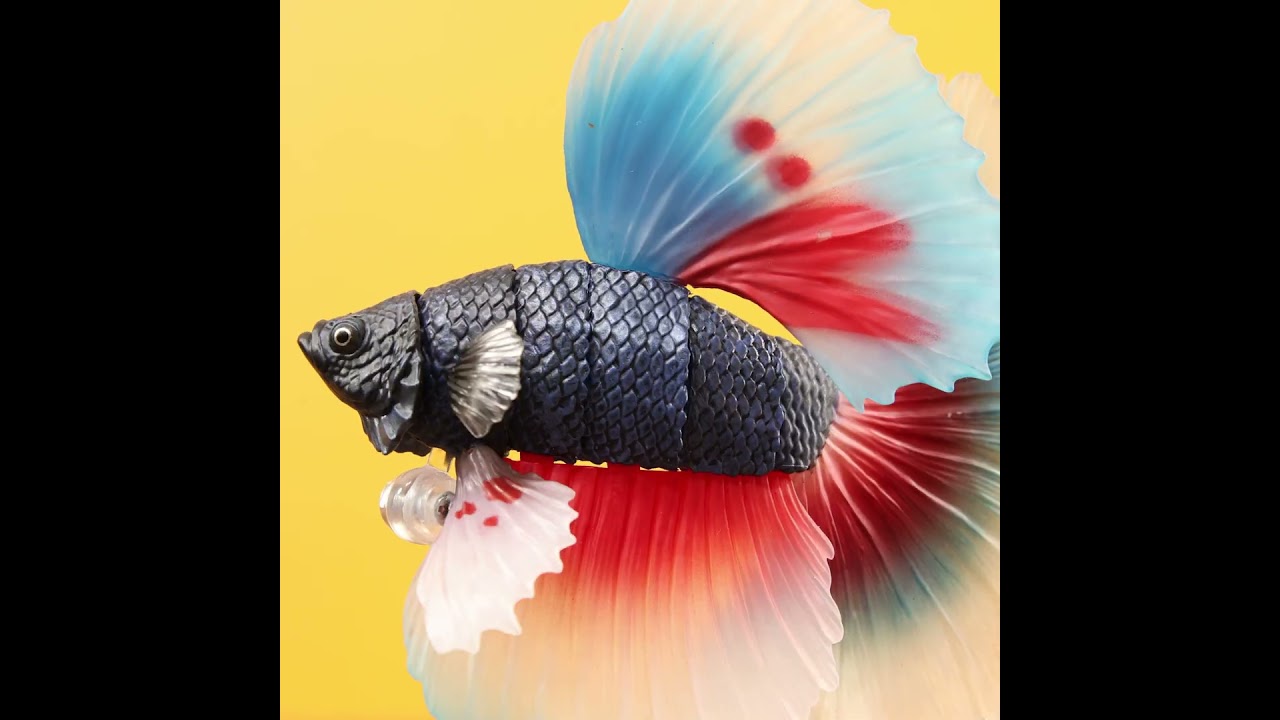 Betta fish / fighting fish  TOYS