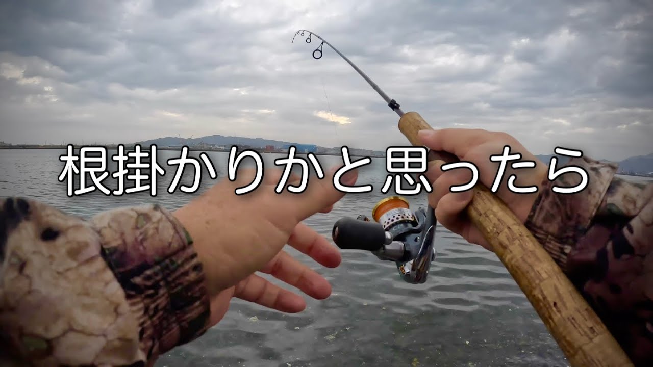 【清水港の釣り】根掛かりかと思ったらまさかの...。