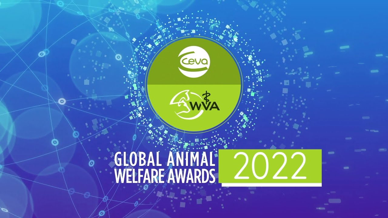 WVA 2022 Welfare Award winners