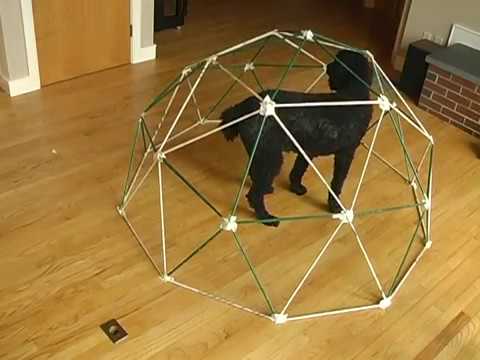 How to build a geodesic dome out of newspaper