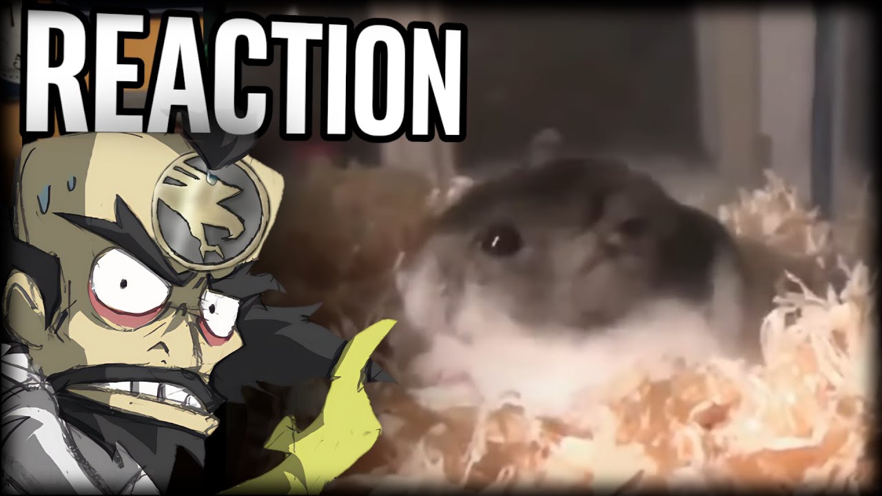Drachenlord hatte mal Hamster 😣 RIP | Klonter77 Reaktion