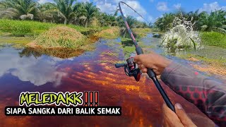 MELEDAK !! CASTING IKAN GABUS DI SPOT SEMAK-SEMAK YANG DI PENUHI OLEH AIR BANJIR #AS-172