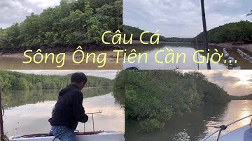 Sông Ông Tiên Cần Giờ câu được nhiều loài cá…Út Trắng, Út Vàng, Cá Đù, Cá Ngát..❤️