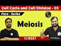 Cell cycle and cell division 03 -  Meiosis | Class 11 | CBSE | NCERT | NEET