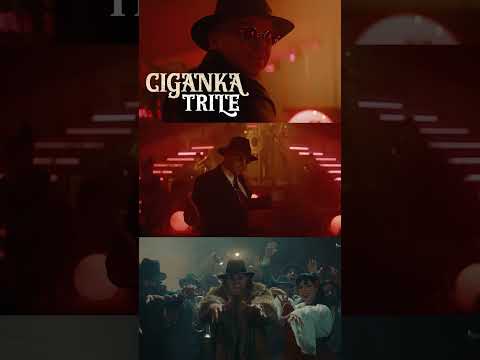 TRILE – CIGANKA #trile #locogang #spotify #ciganka