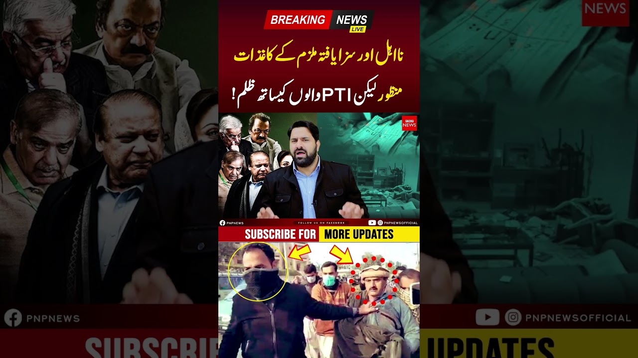 Crackdown On PTI | PNPNews 