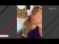 I adopted a judgmental cat. Here's what happened.