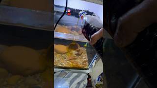 Black water Tank After 4months #tending #telugu #aquatic #viralvideo #neontetras #blackwater #update