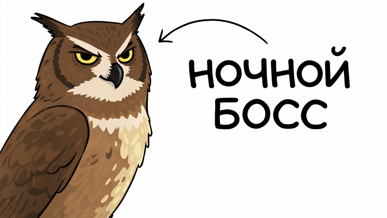 Ты - Филин (И ТЕБЕ РЕАЛЬНО ПОВЕЗЛО)