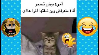 نكت جزائرية مضحكة جدا 2023 ? تشبع ضحك