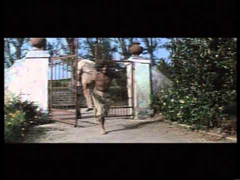 camera iphone 8 plus apk Russ Meyer's Black Snake (1973) - David Prowse's death inspires Tarantino