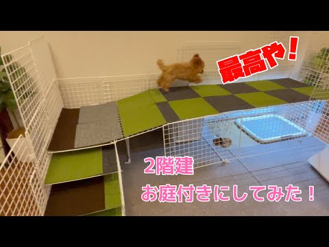 愛犬のトイプードルの家を2階建て庭付きに改装したら大喜びで大興奮ｗ【DIY】