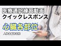 クイックレスポンス#2（心臓各部位）