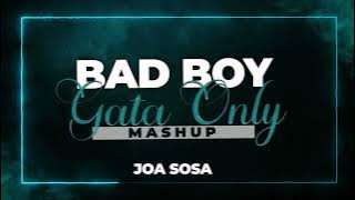 BAD BOY vs GATA ONLY (Mashup) Joa Sosa
