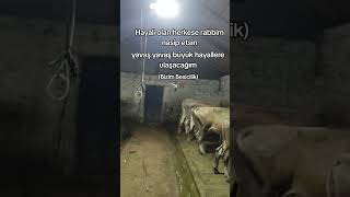 RABBİM YOLUMUZU AÇIK ETSİN ☝🏼🤲🏼
