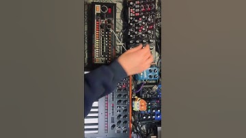 ANALOG SYNTH JAM by MOOG SUBHARMONICON / KORG MONOLOGUE / ROLAND TR-08 / YAMAHA MG06X