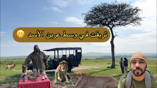 فلوق سفاري كينيا - بيكنيك مع الأسود Beautiful picnic with lions