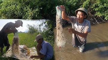 Giăng Lưới Cá Lòng Tong Trên Nước Cạn Dính Cá Nhiều Hơn Mong Đợi Của Tư Cà Khịa