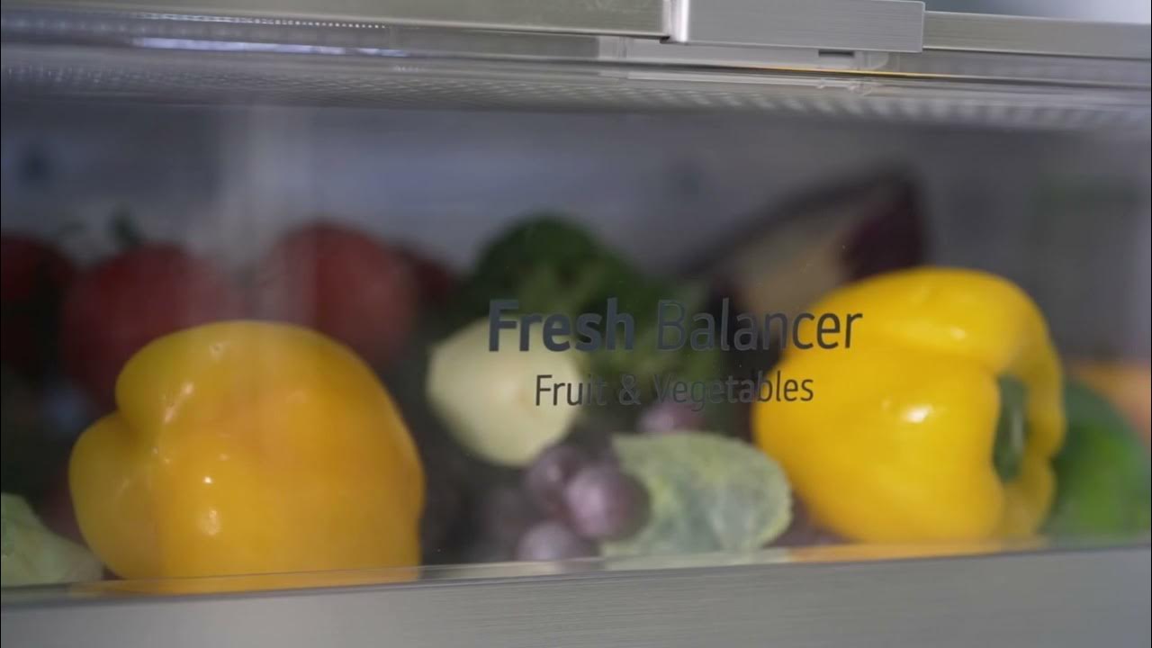 Product Review LG 420L Bottom Mount Fridge Stainless Steel GB455PL YouTube