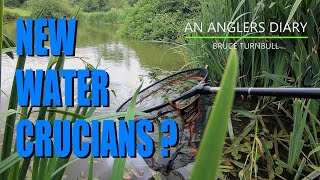 An Anglers Diary with A Moment in Time Channel - Chapter 116 - Crucian Carp Fishing
