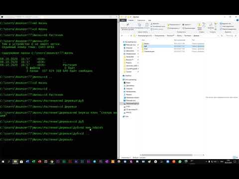 Видео: Основные команды в командной строке Windows 10