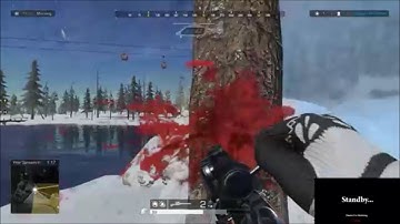 Ring Of Elysium. Glitch...Dsync? Hit Register/Box? Or is it in my head?