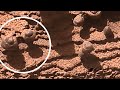 Fósiles en Marte? Curiosity rover on Mars