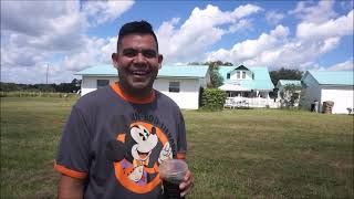 Vlog: Exploring Pumpkin Patches Throughout Orlando, Florida!