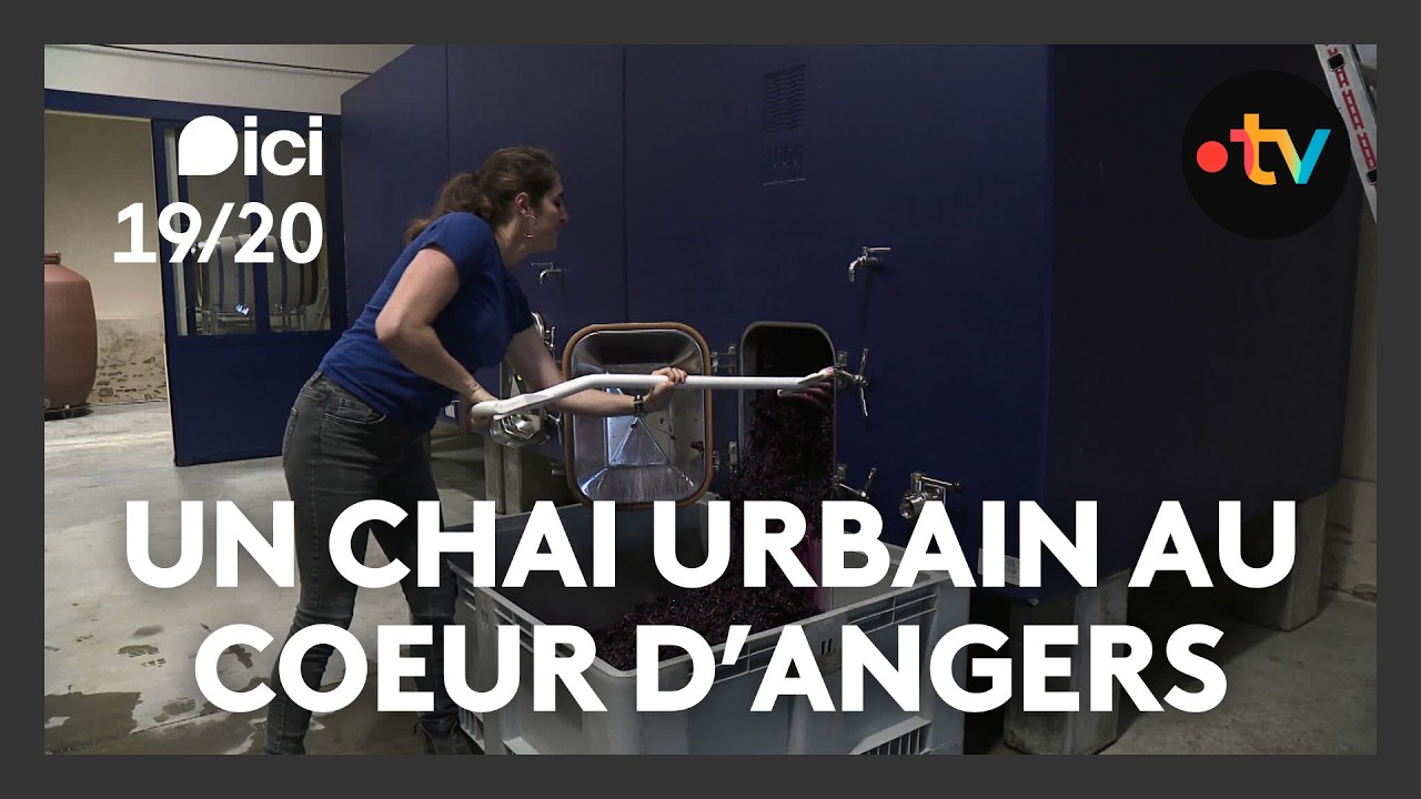 La vinificatrice Pauline Lair réinvente le vin de Loire dans son chai urbain