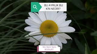BU AYRILIK BU KİN NEDİR? (Söz: Bekir Sami BOZKURT - Yöre Sivrialan-Emlek) 