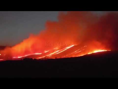 וִידֵאוֹ: יערות ההרים של רוסיה: החי והצומח