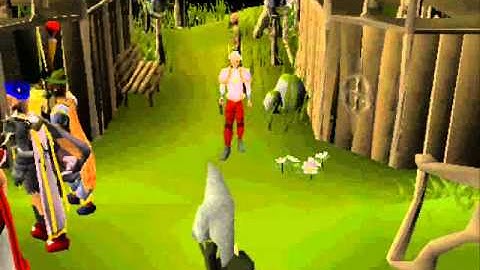 InsanityScape- How to mine runite