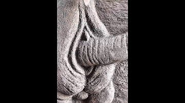 Extremely impressive and amazing cement camel statue, homemade #conghungartartist #cementart #art