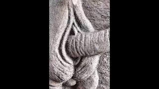 Extremely impressive and amazing cement camel statue, homemade #conghungartartist #cementart #art