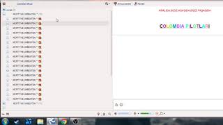 Tüm Raidcall Hesaplarımız İllegale Son Di̇ss Colombia Team