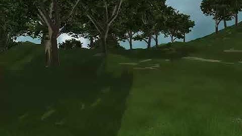 Grass Rendering