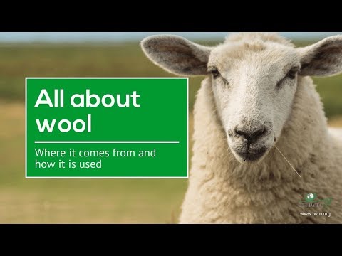 All about wool: where it comes from and how it is used