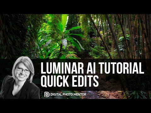 Luminar AI Tutorial