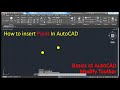 How to insert points in autocad