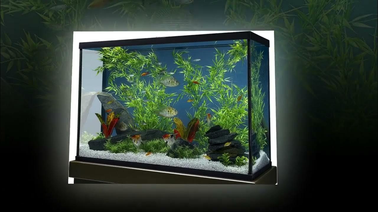 Marineland Bamboo 3 Feet, Décor For aquariums and Terrariums, Model