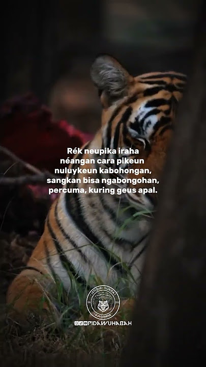 KURING GEUS APAL #pidawuhabah #budayasunda #quotes #storywa #katakatasunda