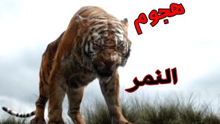 شيلات افلام⁦✴️⁩ أكشن 🔥  النمر يهجم🐯على ماوكلي ❌ مطارده حماسيه👊