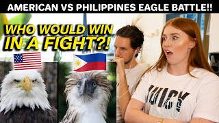 American Eagle vs Philippines Eagle, WHO WOULD WIN?! (Reaction)