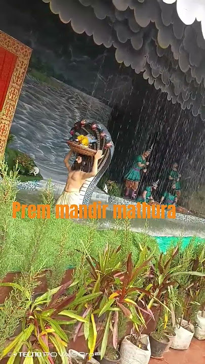 shyam ki bansi jab bhi baji hai #radhakrishnalove #love #trendingvideoshorts #viralbhaktishort