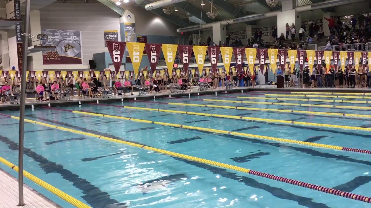 camera iphone 8 plus apk Maroon and Gold 18 - 100 Breast (Sherman)